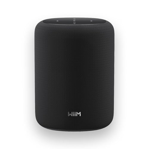 WiiM Sound Lite